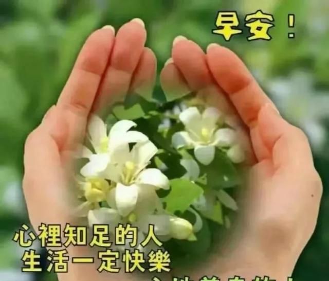 好难受的图片带字表情