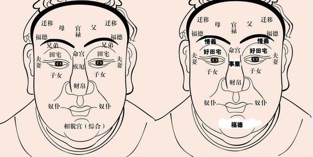 面相十二宫:你的宫位吉凶如何