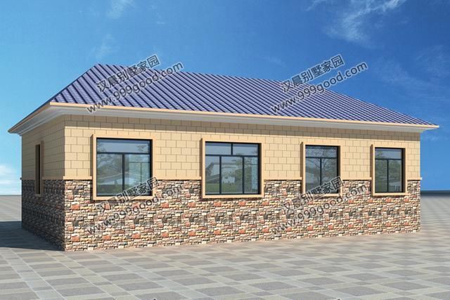 5款适合户型建的一层小洋房,农村都很实用室内设计学世界排名图片