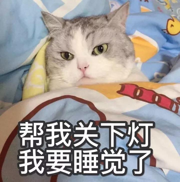 要睡觉了表情包