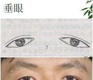 首页 产业 > 正文   又称杏眼,眼睛位于标准位置上,男性多见.