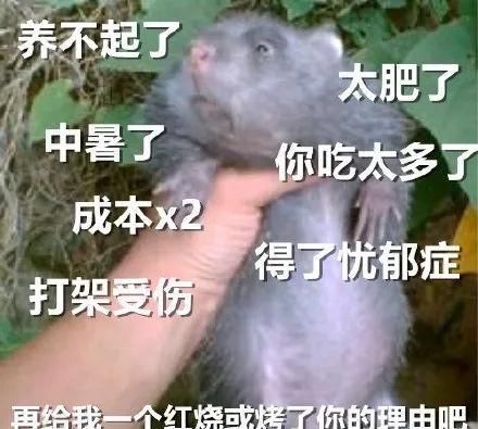 我想吃肉表情包