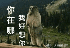 就可以制作生成了
