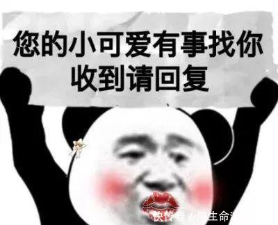 事找你,收到请回复 你女朋友到期了,请问续不续费           跪求表情