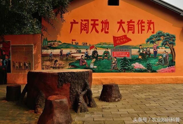 绥化市黄崖子村,来看东北八大怪情趣用品美女试验图片