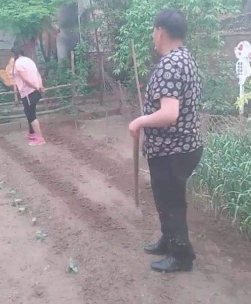 大衣哥回家种地,大衣嫂在一边指挥,裤脚沾满泥土惹人心疼(二)