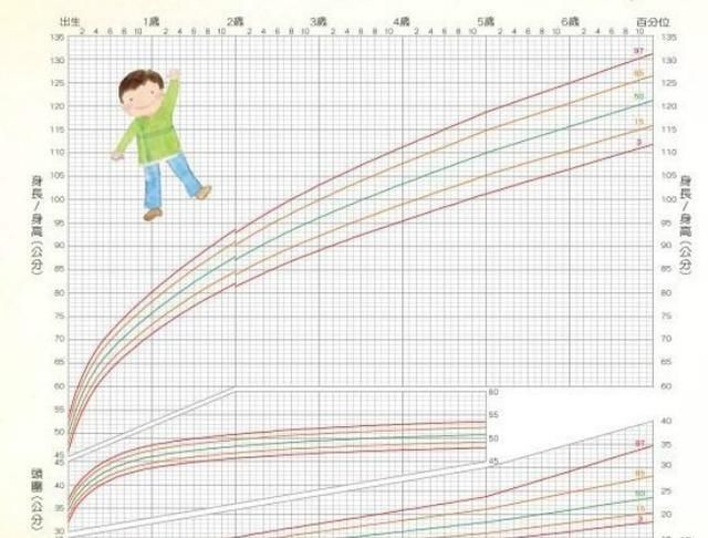 2岁4个月宝宝身高体重