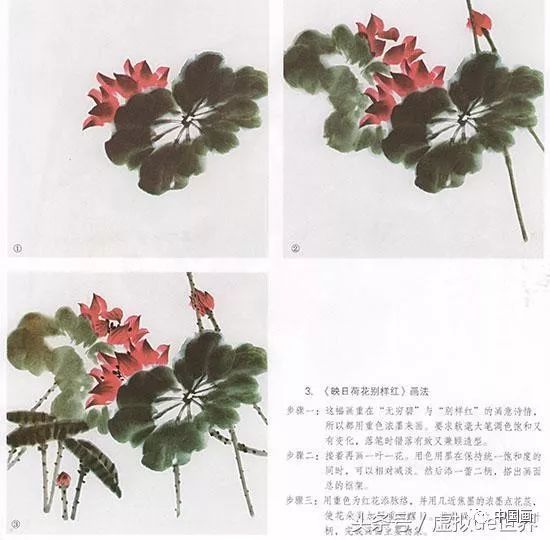 国画写意荷花