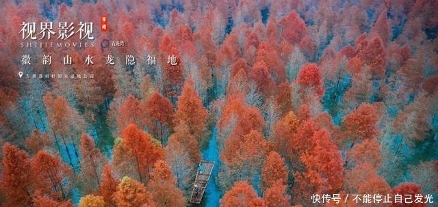 自在宁国 第一波落羽杉红叶观赏指数发布 邂逅最美秋色 快资讯 自在宁国 第一波落羽杉红叶观赏指数发布 邂逅最美秋色 快资讯