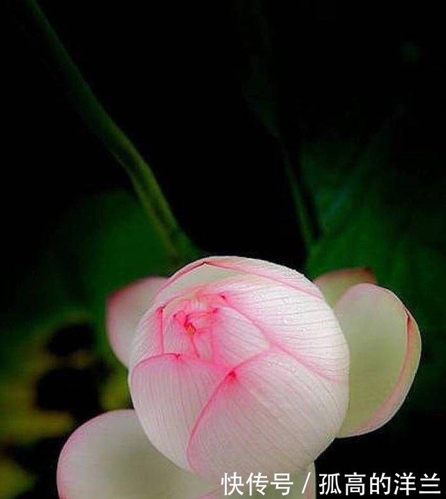 这是一句名副其实的经典名言 博大精深 发人深省 快资讯