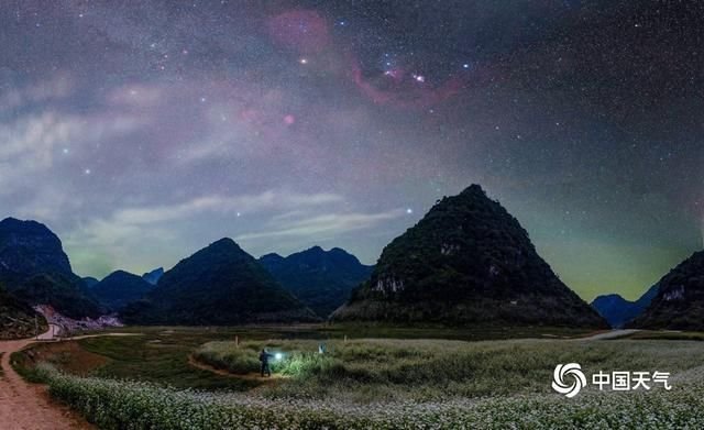 广西隆安更望湖 星空花海景色梦幻 快资讯