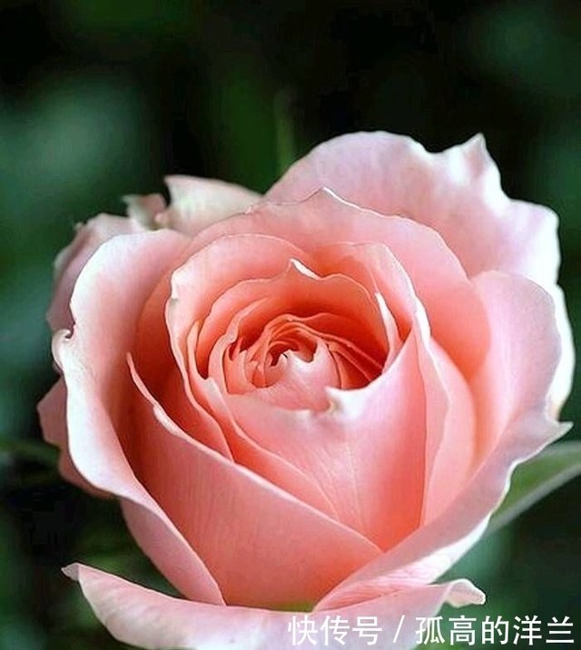 这是一句名副其实的经典名言 博大精深 发人深省 快资讯