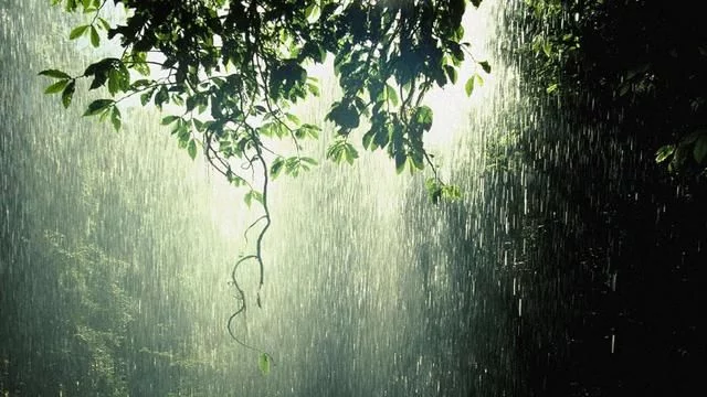 t016dd6c003feb53f05.webp