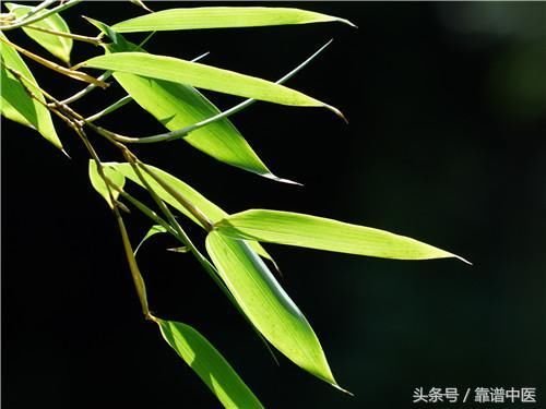 山楂甘草茶的做法,山楂甘草茶的功效_茶叶频道