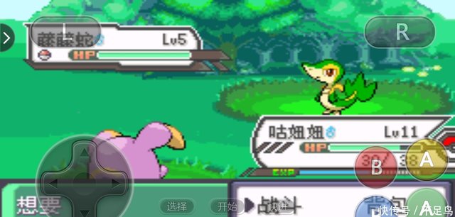 草御三家 御三家 ポケモン