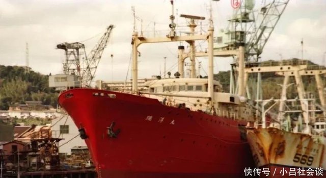 一次海怪目击事件 留下诸多物证 到底是何生物 42年仍未解开 快资讯