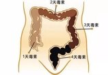 宿便毒素,一按这里,全排出来了(真人演示)
