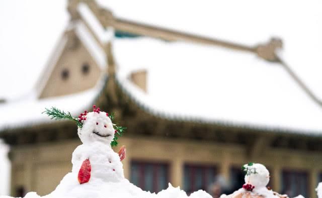 雪中的武汉大学校园，安静与和谐的交融，让人流连忘返