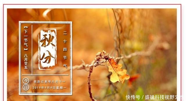  【养殖场】发改委、农业农村部联合发布通知实施生猪规模化养殖