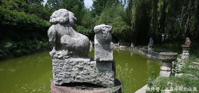 解密“秦岭超大违建别墅”业主拿50年茅台当水喝