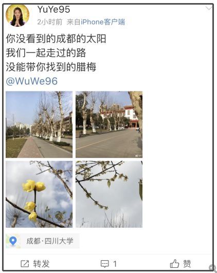 成都出大太阳，必须晒！接下来还有4次降温，大家挺住！