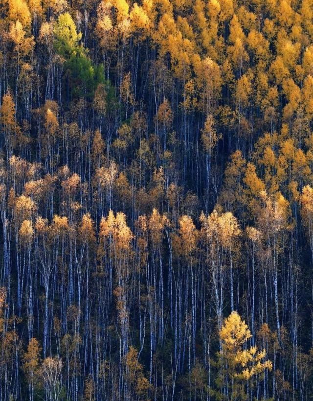 中国最美的50个地方，你去过几个