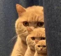 老人竟然在电梯里大便  网友纷纷谴责  监控视频曝光  真相大反转