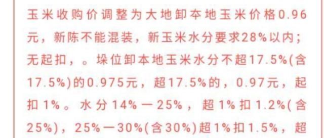  玉米：这个人是不是你？有些农民粮食卖了高价反而没有卖低价赚