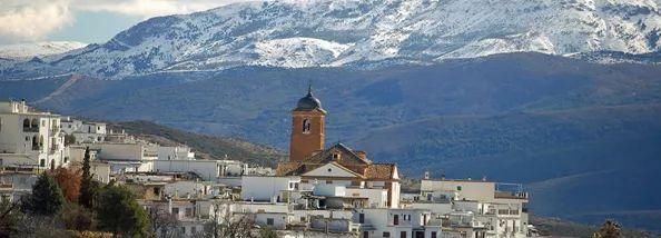 上海出发、无需中转，客运航班能直飞这么多国外目的地！