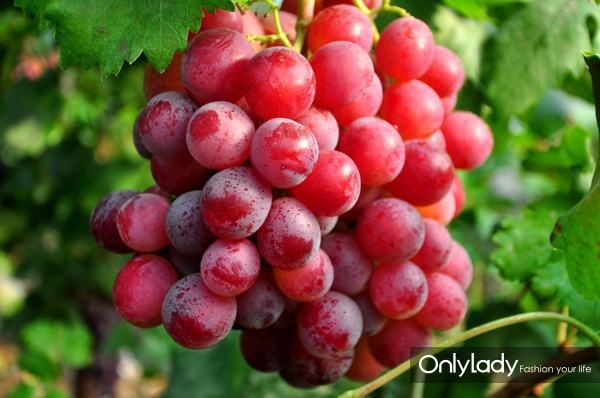 Angelababy生了个假孩子吗?