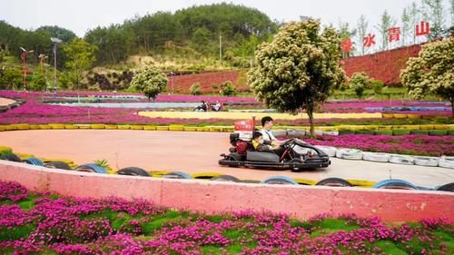  「四季花海」安排！英山这片花海五一花开正好，绝不能错过