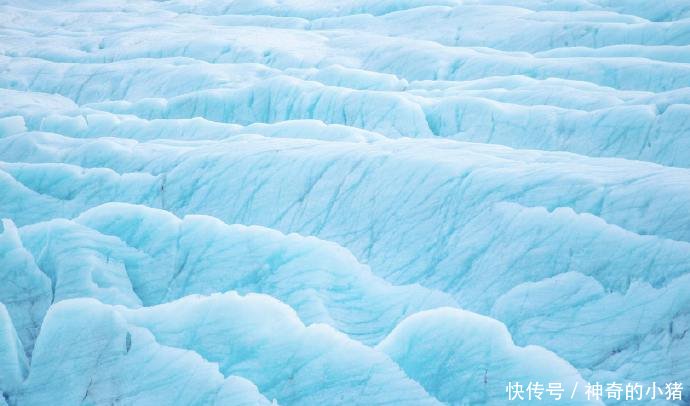  【安利】抓住春天的尾巴，赶紧来安利波春夏美甲！