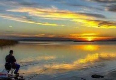  「黄金」秋季是钓鱼的“黄金期”，这三个时间段去钓，鱼多还好