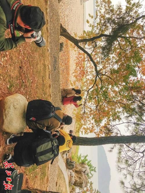 拍过很多地方,最后发现拍来拍去还是东湖最美