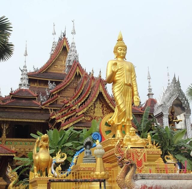 是什么魅力让这么多人自驾去西双版纳过春节，看了你就知道！