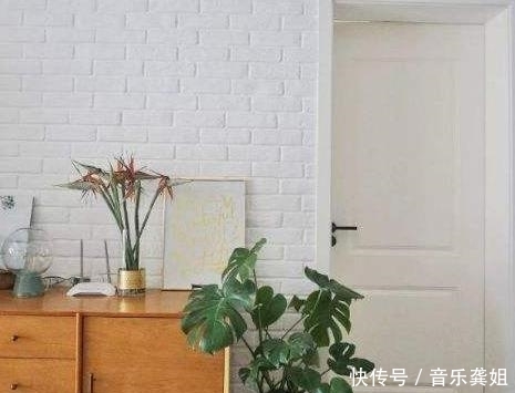 『记得』家里记得养这些花,聪明人一看就懂,家人起码长寿十年