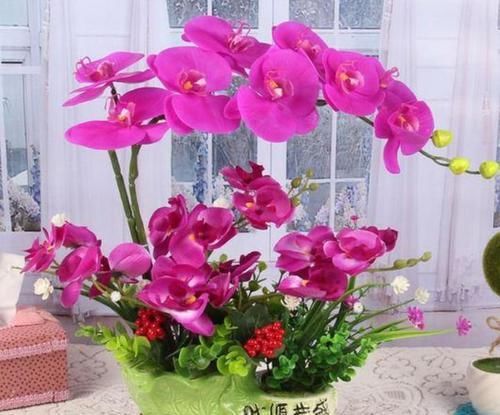  【阳台】家养这些植物，阳台开出花海，如梦如幻，寓意吉祥，漂亮好养