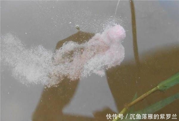  [用饵]野钓鲤鱼，用饵和调漂很关键，掌握这些硬核细节，不怕没渔获