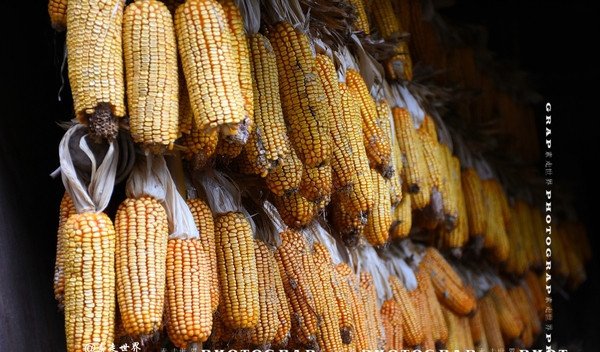 这村因一部电视剧火了却没游客，竟只为这个原因。