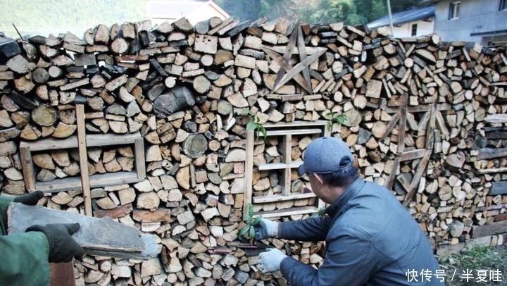  「毛钱」有人专门到农村收“碎木”，2毛钱一斤，一年赚十几万，