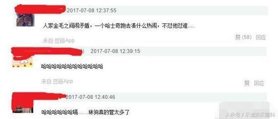 被晒病历造谣已遭网友盗号表白思聪林更新的遭遇总是为何这么清奇