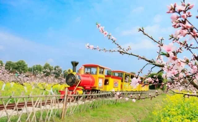 春天深呼吸,安吉来“氧”你!2020年三八女神节,可以来安吉旅游啦【2020热门旅游景点】