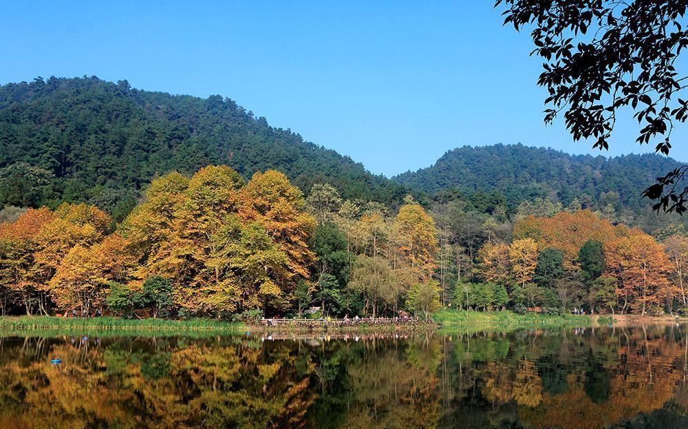 王维最经典一首诗,千篇都是名句,写尽自然之美,跨越千年而不衰