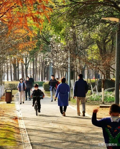  [眼中]还是那个熟悉的味道，那个熟悉的人，他们回来了#我眼中的春天#