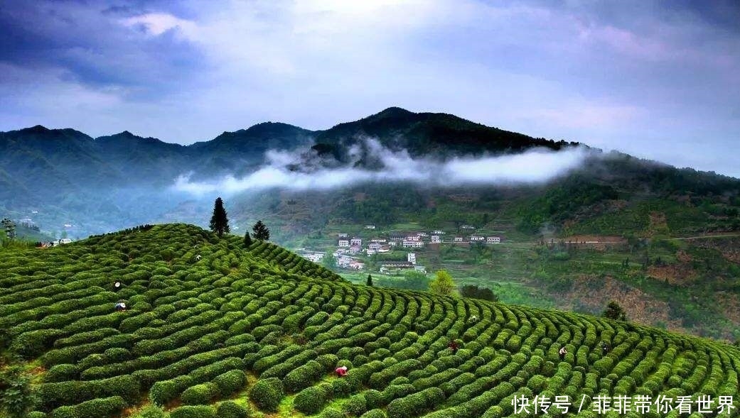  [投用]湖北将迎一新高铁站，远期规模6台18线，预计年底投用不在