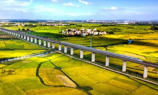  「沿线」山东规划一条新高铁，共设7站，加快沿线区域一体化形成