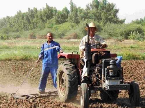 中国人带头在非洲的土地上种庄稼，见到大丰收的黑人表示不敢相信