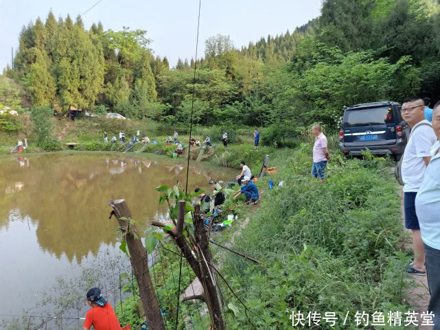  『给出』给塘主交学费，看别人爆护？为什么要去黑坑钓鱼，我给出三点理由