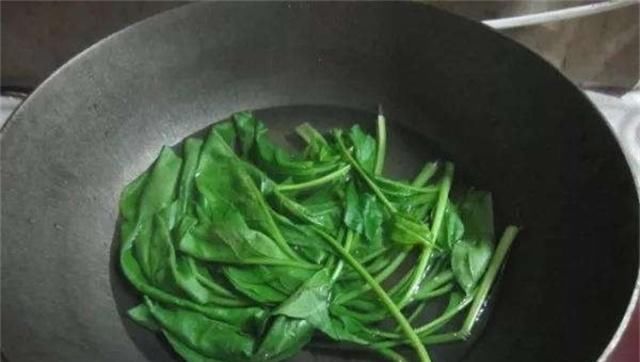  「绿水」给绿萝喝点增绿水，一个月不到，叶片就像抹了油，贼油绿