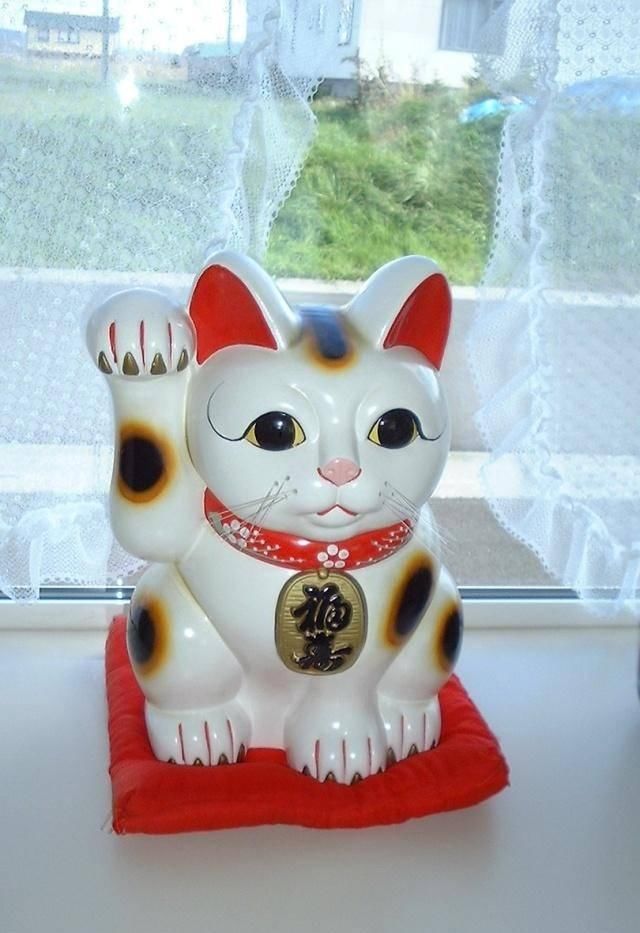 『猫咪皮毛』三花猫几乎都是母猫,这是都市传说,还是真实存在的现象呢